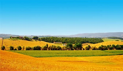 Uitzicht op een landschap in het platteland