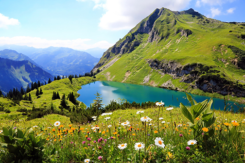 Groen landschap met bergen in de Beierse Alpen