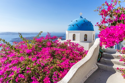 Witgekalkt pad langs felroze bougainvillea met uitzicht op een kerk met blauwe koepel en zee, typisch straatbeeld van Santorini.