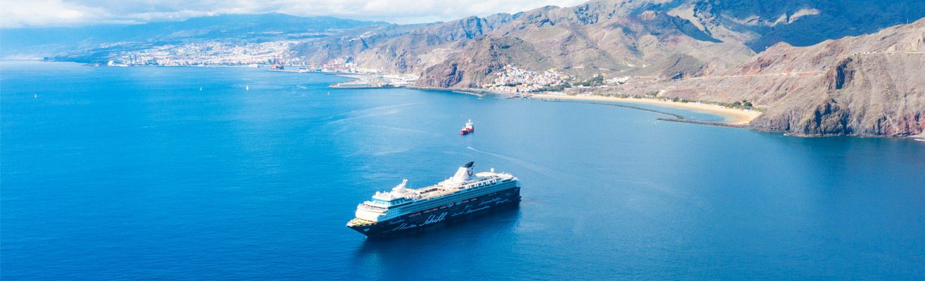 Cruiseschip op zee bij Tenerife, Canarische Eilanden
