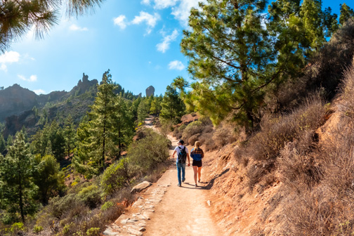 Zanderig bospad op Gran Canaria in januari