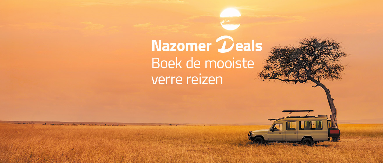 Savanne in Afrika
