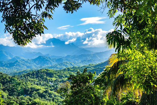 Groen landschap Jamaica vanuit de bergen in februari