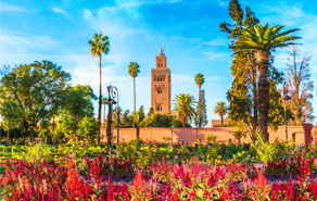 Last minute stedentrip Marrakech D-reizen vliegtickets