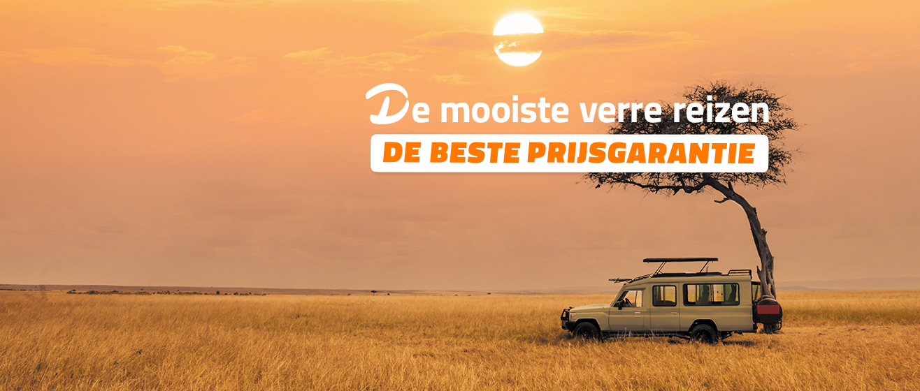Savanne in Afrika