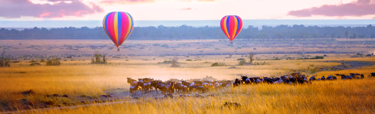 Wildlife in Kenia