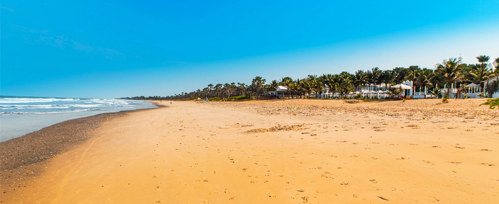 Breed goudgeel strand in Gambia met zachte golven links en een rij palmbomen en witte strandlodges langs de kust onder een strakblauwe lucht.
