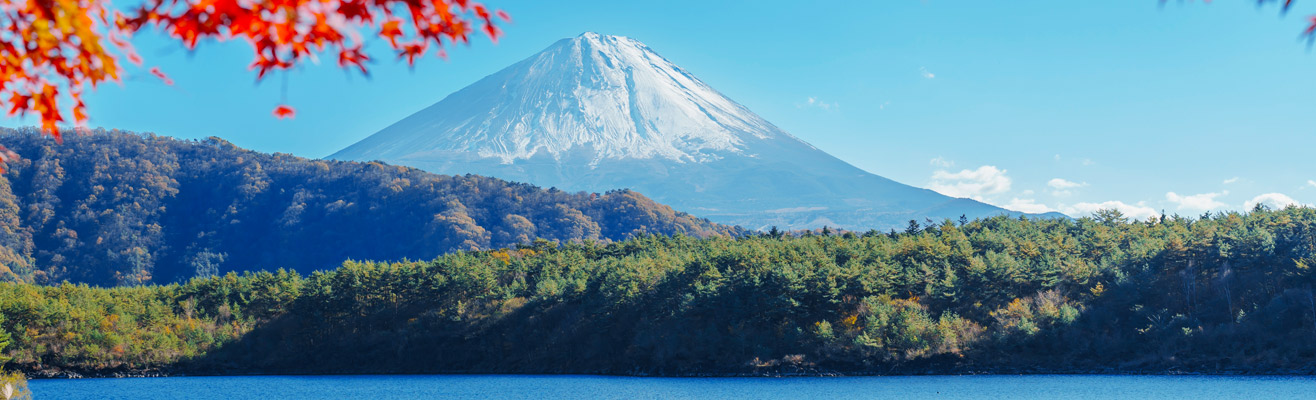 Alle vliegtickets naar Japan D-reizen