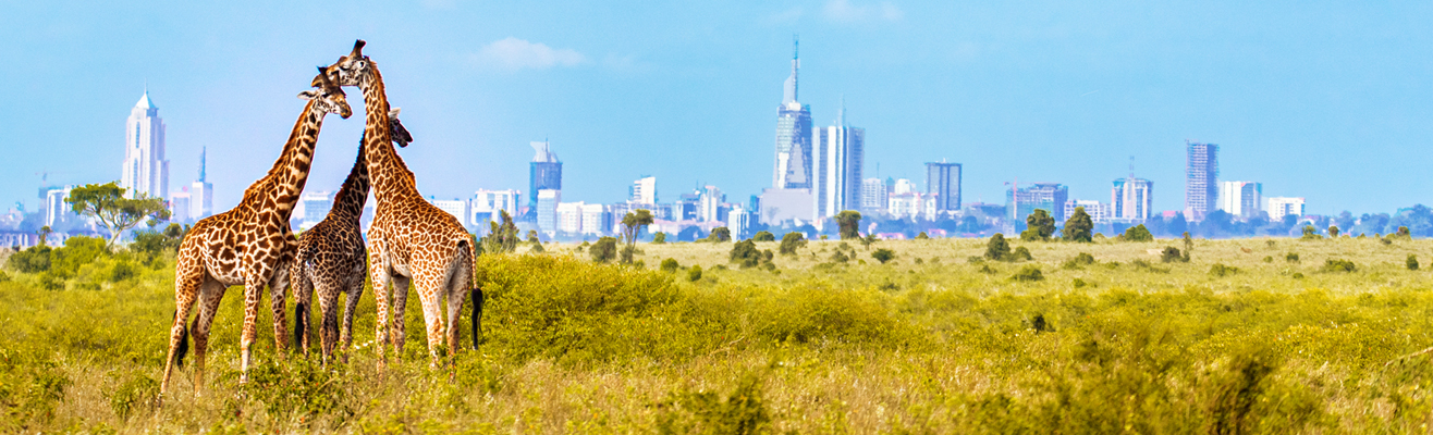 Alle vliegtickets naar Nairobi D-reizen
