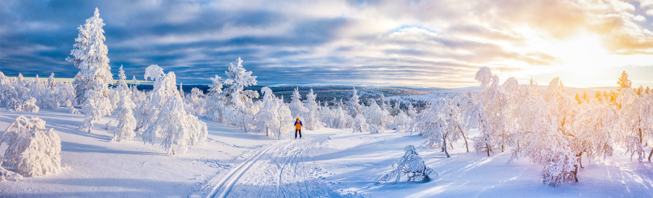 Alle vliegtickets naar Finland bij D-reizen