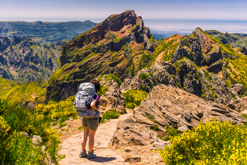 Hiker op bergpad in Madeira met uitzicht op groene valleien, gele bloemen en dramatische rotspieken onder een heldere blauwe lucht.